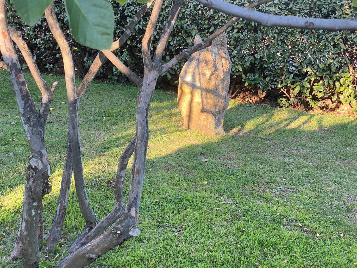 Bed And Breakfast Li Paduli Alvi Cannigione Exterior foto
